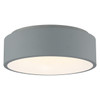 Radiant Gray Dual Voltage LED Flush Mount (50941LEDD-GRY/ACR)