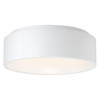 Radiant White Dual Voltage LED Flush Mount (50941LEDD-WH/ACR)
