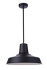 Briscoe 1 Light 18" Outdoor Pendant in Midnight (ZA5711-MN)