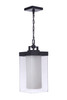 Hayner 1 Light Outdoor Pendant in Midnight (ZA5621-MN)