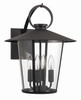 Andover 4 Light Matte Black Outdoor Wall Mount (AND-9202-CL-MK)