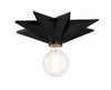 Astro 1 Light Black Ceiling Mount (9230-BK_CEILING)