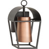 Hutchence Collection One-Light Antique Bronze with Antique Copper Transitional  Outdoor Medium Wall Lantern (P560335-020)
