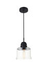 Kenna 1 Light Black Pendant With Clear Glass (LD2253BK)