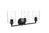 Mayson 3 Light Black And Clear Bath Sconce (LD7315W23BLK)