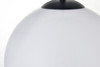 Elegant Furniture and Lighting Baxter 1 Light Black Pendant With Frosted White Glass (LD2213BK)