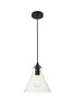 Destry 1 Light Black Pendant With Clear Glass (LD2244BK)