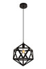 Redmond Collection Pendant D13.0'' H14.6 Lt:1 Black Finish (LDPD2110)
