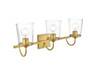 Elegant Furniture and Lighting Avani 3 Light Brass And Clear Bath Sconce (LD7313W24BRA)