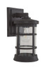 Resilience 1 Light Medium Outdoor Wall Lantern in Bronze, Clear Lens (ZA2314-BZ-C)