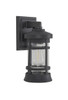 Resilience 1 Light Small Outdoor Wall Lantern in Textured Black, Clear Lens (ZA2304-TB-C)