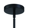 Wrenn 1 Light Mini Pendant in Flat Black (58191-FB)