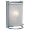 Nevis Gray 1 Light Outdoor Sconce (20011LEDSWACDMG-SAT/RFR)
