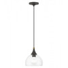 Glendon 1 Light Bronze Glass Pendant with Antique Brass Finish Accents (53641-07)