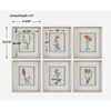 Classic Botanicals Framed Prints Set/6 (32284)