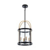 Artcraft Lighting Bonita Collection 4-Light 13" Pendant Black and Brushed Brass (AC11514BB)