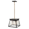 Artcraft Lighting Lucian 4 Light Chandelier 12" Diameter Black and Brushed Brass (AC11851BK)