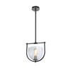 Cheshire Collection 1-Light Pendant, Black & Nickel (AC11741NB)