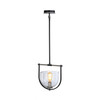 Artcraft Lighting Cheshire Collection 1-Light Pendant, Black & Nickel (AC11741NB)