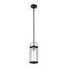 Artcraft Lighting Bonita Collection 1-Light Pendant Black and Brushed Brass (AC11511BB)