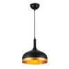 Artcraft Lighting Dash Collection 1-Light Pendant, Black & Gold (SC13350BK)