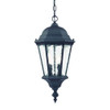 Telfair 2-Light Matte Black Hanging Light (5516BK)