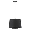 Lamia 1-Light Matte Black Mini Pendant (TP30030BK)