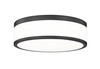 Z-Lite Ballord 1 Light Flush Mount in Matte Black (1012F12-MB-LED)