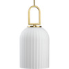 Stanza Collection One-Light Brushed Gold New Traditional Pendant Light (P500482-191)