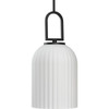Stanza Collection One-Light Matte Black New Traditional Pendant Light (P500482-31M)