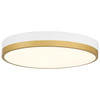 Coco 1 Light LED Flush Mount (20823LEDD-WWA/WHT)