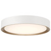 Malaga Color Selectable 1 Light 3CCTLED Flush Mount (49972LEDDCS-MWH/ACR)
