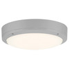 Rockaway 1 Light Dual Voltage Outdoor LED Flush Mount (20250LEDMG-SAT/FST)