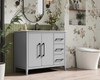 42 Inch Single Bathroom Vanity In Grey (VF29342GR)