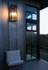 Elegant Furniture and Lighting Kannon 8.5 Inch Outdoor Wall Sconce In Black (OD513W19BK)