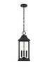 Shepard 8 X 20.5 Inch Outdoor Pendant In Black (OD503H21BK)