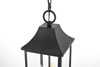 Shepard 8 X 20.5 Inch Outdoor Pendant In Black (OD503H21BK)