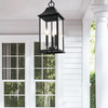 Shepard 8 X 20.5 Inch Outdoor Pendant In Black (OD503H21BK)