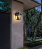 Frankford 12 Inch Outdoor Wall Sconce In Black (OD334W20BK)