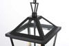 Frankford 10 Inch Outdoor Pendant In Black (OD334H17BK)