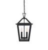 Frankford 10 Inch Outdoor Pendant In Black (OD334H17BK)