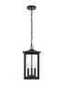 Carlisle 9 Inch Outdoor Pendant In Black (OD325H17BK)
