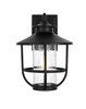 Elegant Furniture and Lighting Janney 9 Inch Outdoor Wall Sconce In Black (OD314W13BK)