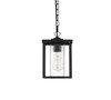 Elegant Furniture and Lighting Dover 7 Inch Outdoor Pendant In Black 7 Inch Outdoor Pendant In Black (OD302H11BK)