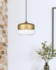 Ashwell 10 Inch Pendant Clear Shade In Satin Gold (LD2243SG)