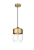 Ashwell 7 Inch Pendant Clear Shade In Satin Gold (LD2241SG)
