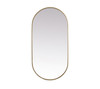Metal Frame Oval Mirror 30X60 Inch In Brass (MR2A3060BRS)