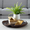 Boston Fern In White Ceramic Pot (60238)