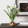 Lacey Daffodil Accent Arrangement (60228)