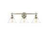 Orwell 3-Light Vanity Light in Aged Brass with Clear Glass (3306-BA3 AB-CLR)